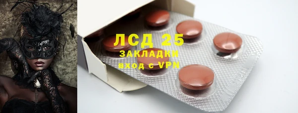 ПСИЛОЦИБИНОВЫЕ ГРИБЫ Алексин