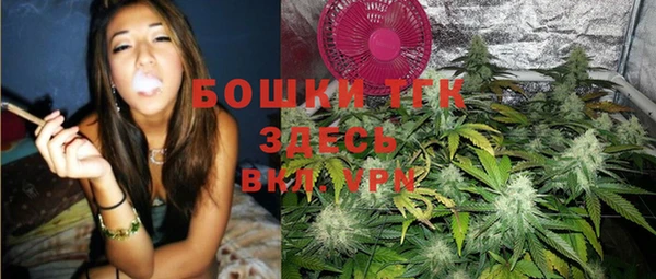 ПСИЛОЦИБИНОВЫЕ ГРИБЫ Алексин