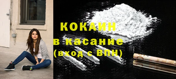 ПСИЛОЦИБИНОВЫЕ ГРИБЫ Алексин