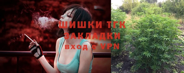 ПСИЛОЦИБИНОВЫЕ ГРИБЫ Алексин