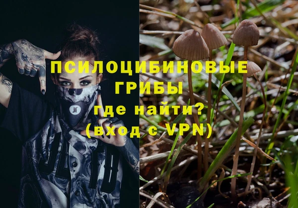 бошки Новозыбков