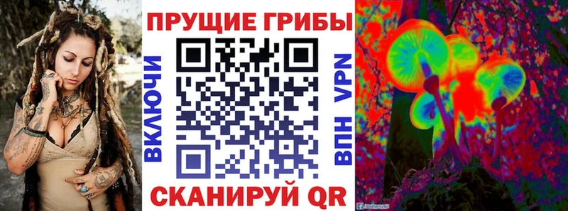 Псилоцибиновые грибы Magic Shrooms где купить наркоту Алупка